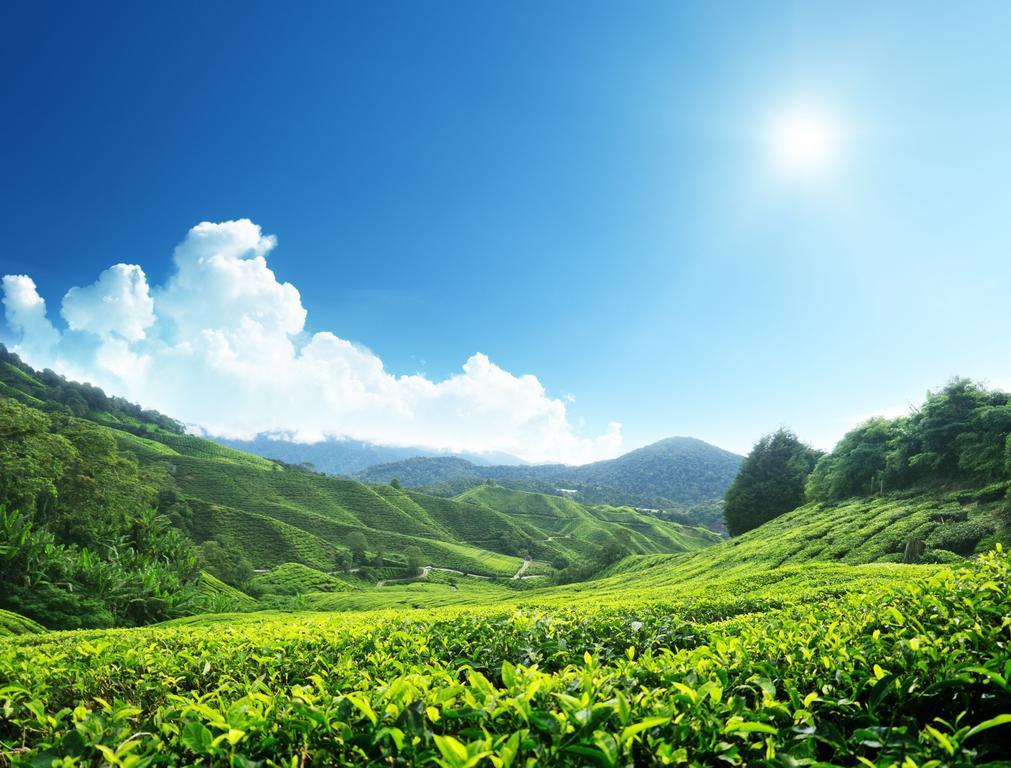 Homestay Cameron Highlands Mikayla Exterior foto